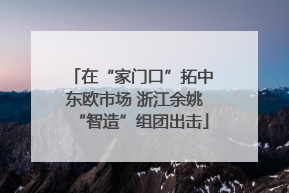 在“家门口”拓中东欧市场 浙江余姚“智造”组团出击
