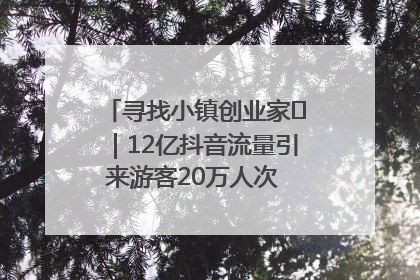 寻找小镇创业家㊱｜12亿抖音流量引来游客20万人次 “襄阳许三多”爆改家乡打造网红村