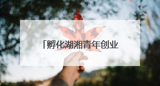 孵化湖湘青年创业梦想，第十二届湖南省大学生电子商务大赛圆满收官