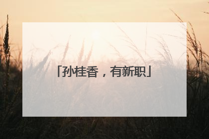 孙桂香，有新职