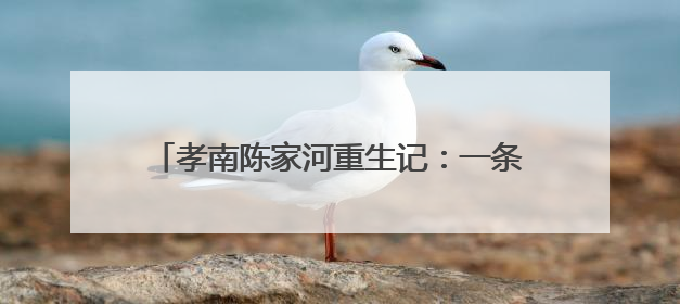 孝南陈家河重生记：一条“幸福河”的生态蝶变