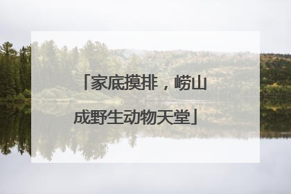 家底摸排，崂山成野生动物天堂