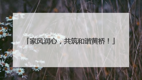 家风润心，共筑和谐黄桥！