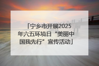 宁乡市开展2025年六五环境日“美丽中国我先行”宣传活动