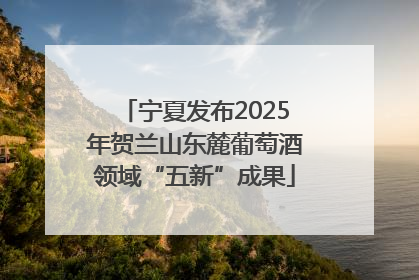 宁夏发布2025年贺兰山东麓葡萄酒领域“五新”成果