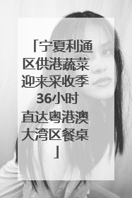 宁夏利通区供港蔬菜迎来采收季 36小时直达粤港澳大湾区餐桌