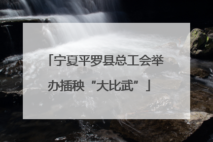 宁夏平罗县总工会举办插秧“大比武”
