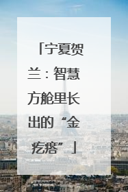 宁夏贺兰：智慧方舱里长出的“金疙瘩”