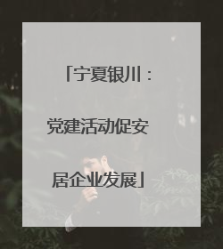 宁夏银川：党建活动促安居企业发展