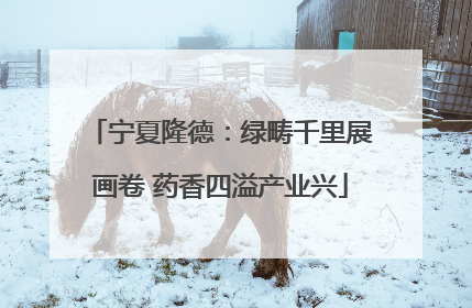 宁夏隆德：绿畴千里展画卷 药香四溢产业兴