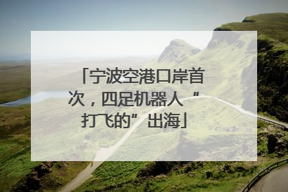 宁波空港口岸首次，四足机器人“打飞的”出海