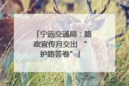宁远交通局：路政宣传月交出 “护路答卷”