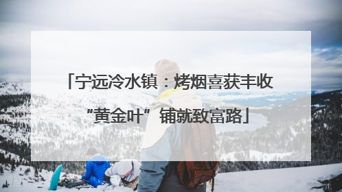 宁远冷水镇：烤烟喜获丰收 “黄金叶”铺就致富路