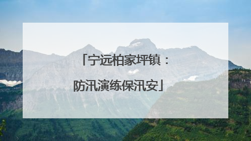 宁远柏家坪镇：防汛演练保汛安