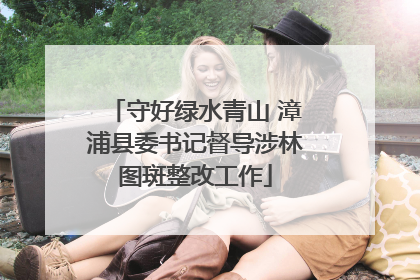 守好绿水青山 漳浦县委书记督导涉林图斑整改工作