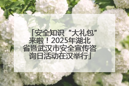 安全知识“大礼包”来啦！2025年湖北省暨武汉市安全宣传咨询日活动在汉举行