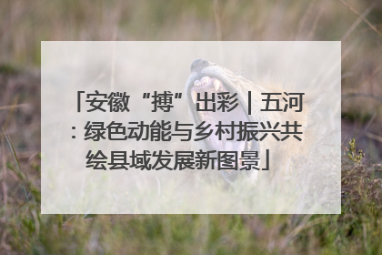 安徽“搏”出彩｜五河：绿色动能与乡村振兴共绘县域发展新图景