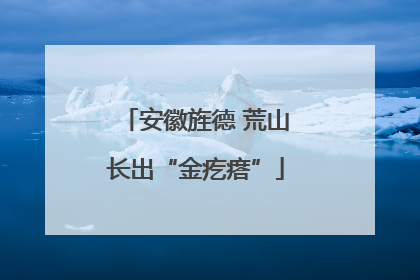 安徽旌德 荒山长出“金疙瘩”