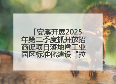 安溪开展2025年第二季度抓开放招商促项目落地暨工业园区标准化建设“拉练”活动