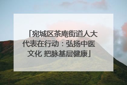 宛城区茶庵街道人大代表在行动：弘扬中医文化 把脉基层健康