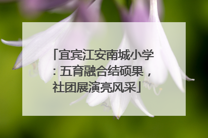 宜宾江安南城小学：五育融合结硕果，社团展演亮风采