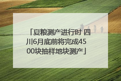 夏粮测产进行时 四川6月底前将完成4500块抽样地块测产