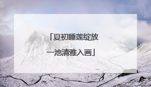 夏初睡莲绽放 一池清雅入画