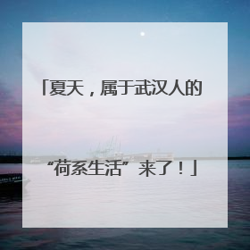 夏天，属于武汉人的“荷系生活”来了！