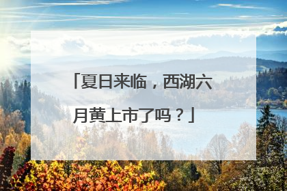 夏日来临，西湖六月黄上市了吗？