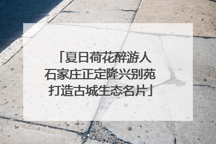 夏日荷花醉游人 石家庄正定隆兴别苑打造古城生态名片