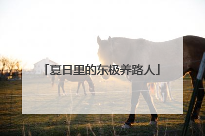 夏日里的东极养路人