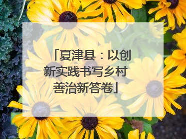 夏津县：以创新实践书写乡村善治新答卷