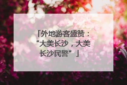 外地游客盛赞：“大美长沙，大美长沙民警”