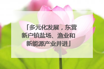 多元化发展，东营新户镇盐场、渔业和新能源产业并进