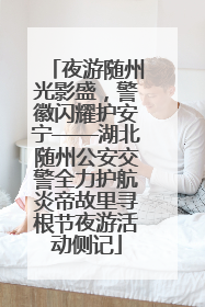 夜游随州光影盛，警徽闪耀护安宁——湖北随州公安交警全力护航炎帝故里寻根节夜游活动侧记