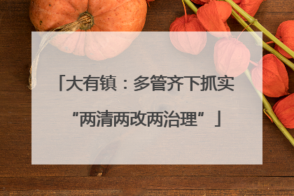 大有镇：多管齐下抓实“两清两改两治理”