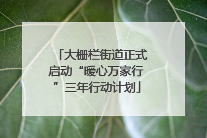 大栅栏街道正式启动“暖心万家行”三年行动计划