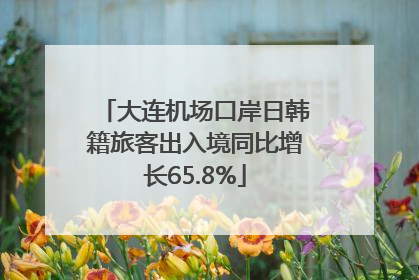 大连机场口岸日韩籍旅客出入境同比增长65.8%