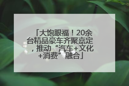 大饱眼福！20余台精品豪车齐聚嘉定，推动“汽车+文化+消费”融合