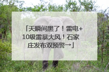 天瞬间黑了！雷电+10级雷暴大风！石家庄发布双预警→