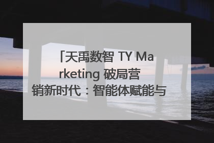 天禹数智 TY Marketing 破局营销新时代：智能体赋能与人才培育双轮驱动