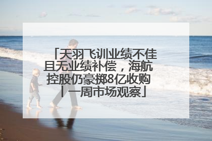 天羽飞训业绩不佳且无业绩补偿，海航控股仍豪掷8亿收购丨一周市场观察