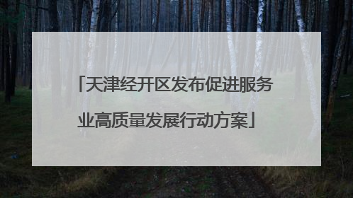 天津经开区发布促进服务业高质量发展行动方案