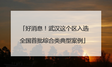 好消息！武汉这个区入选全国首批综合类典型案例