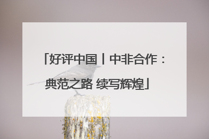 好评中国丨中非合作：典范之路 续写辉煌