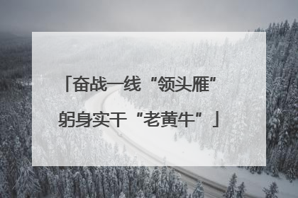 奋战一线“领头雁” 躬身实干“老黄牛”