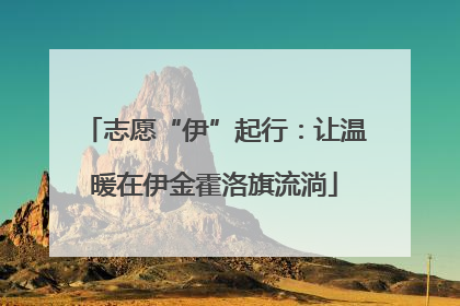志愿“伊”起行：让温暖在伊金霍洛旗流淌