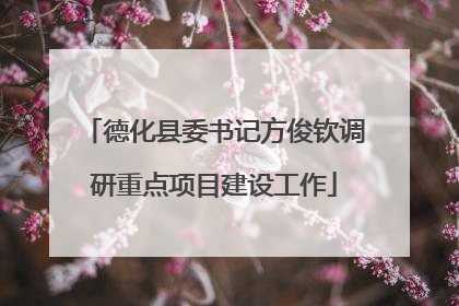 德化县委书记方俊钦调研重点项目建设工作