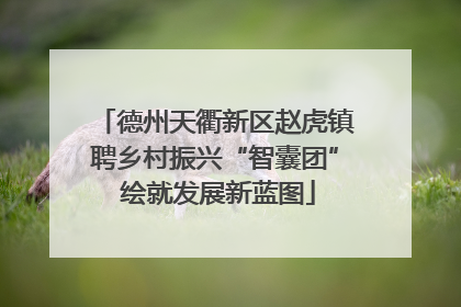 德州天衢新区赵虎镇聘乡村振兴“智囊团” 绘就发展新蓝图
