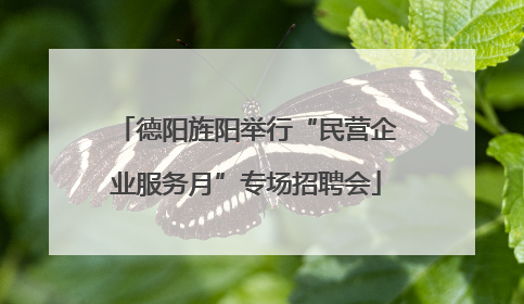 德阳旌阳举行“民营企业服务月”专场招聘会